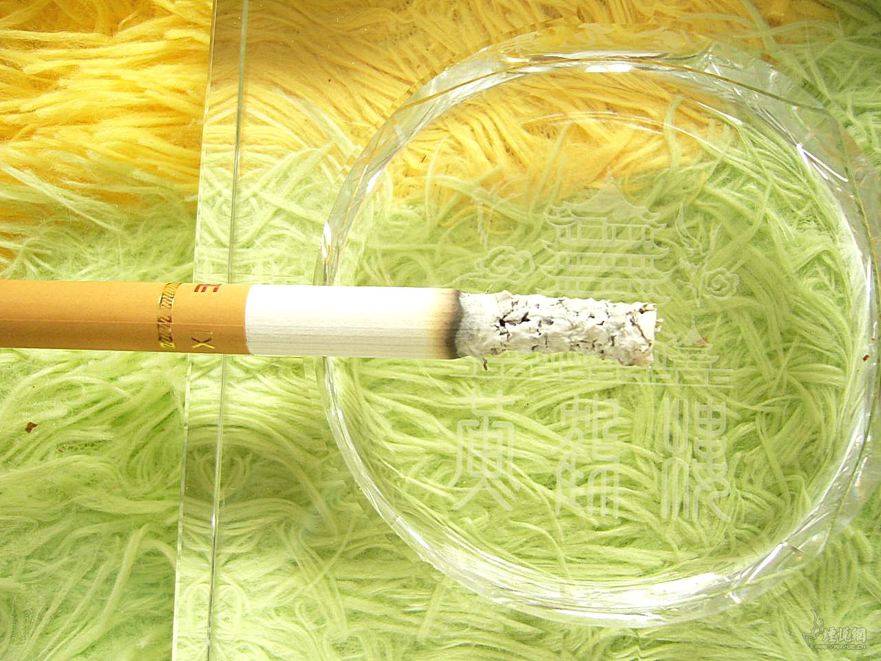 怀念不如品味七—铂金玉溪 香烟漫谈 烟悦网论坛