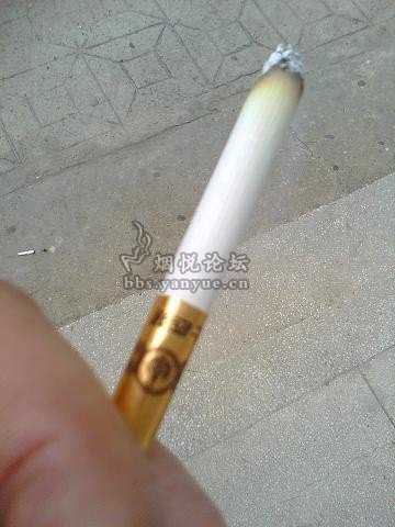 今天抽的一支烟 - 香烟漫谈 - 烟悦网论坛