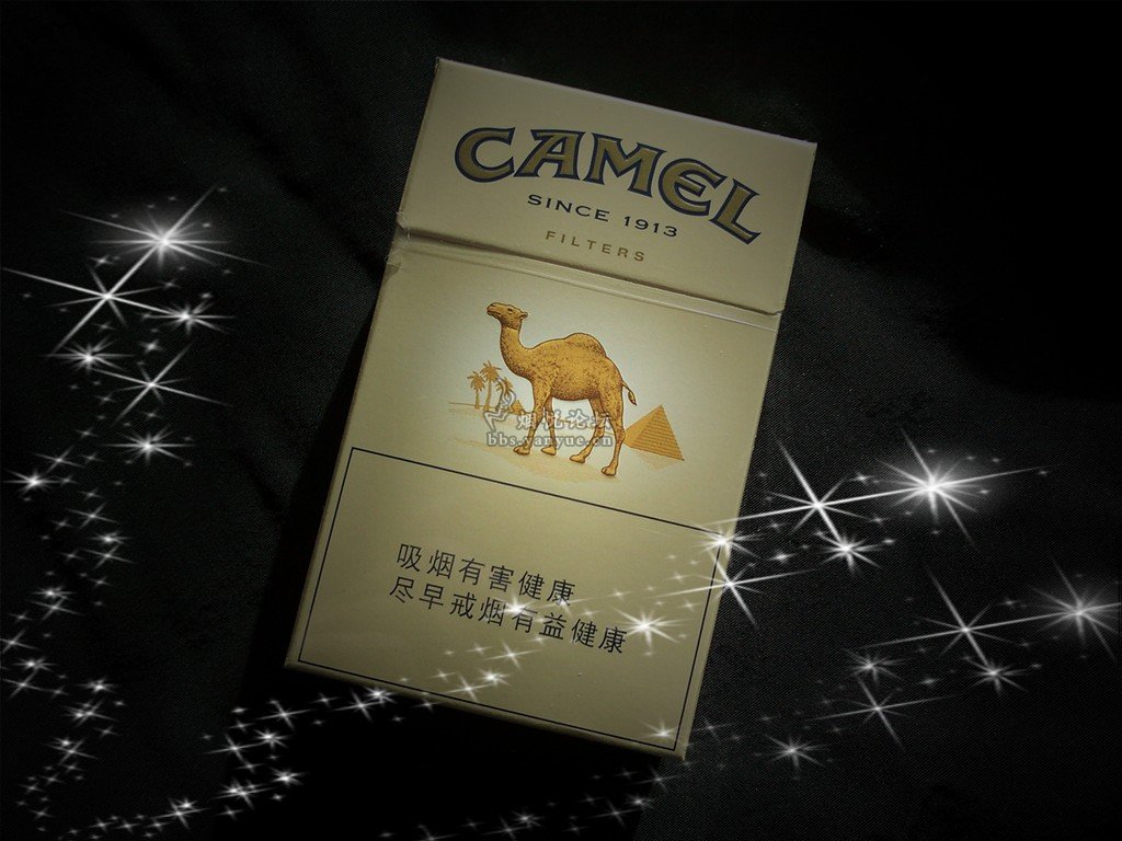 游遍友情~camel新版中免原味骆驼