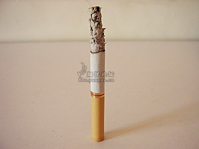 红红火火红杉树,品尝江苏四大名烟系列之红杉树小贡