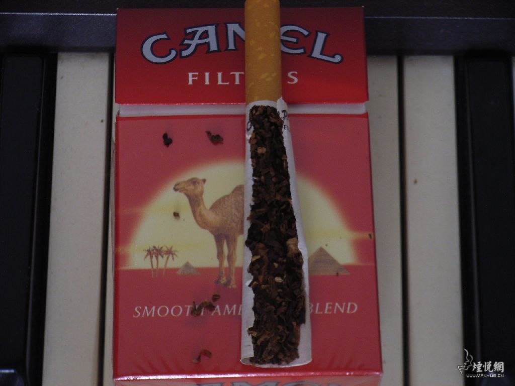 红骆驼详细解析图! - 香烟品鉴 - 烟悦网论坛