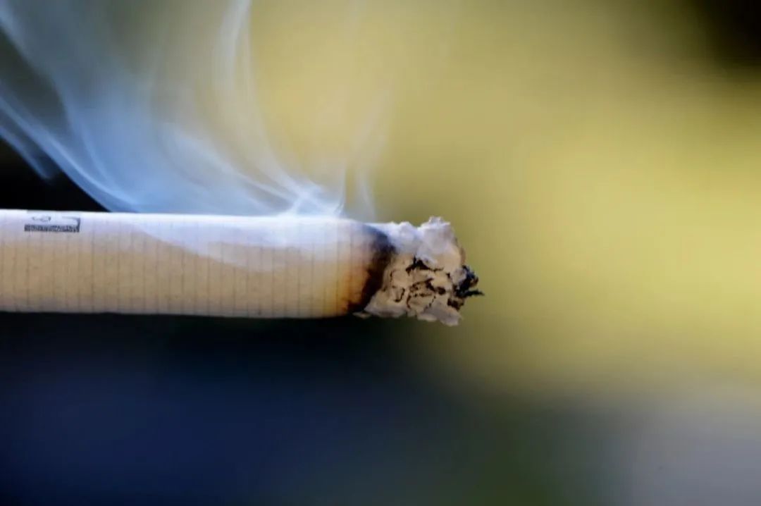 一根烟的情意 [视点-烟悦网]