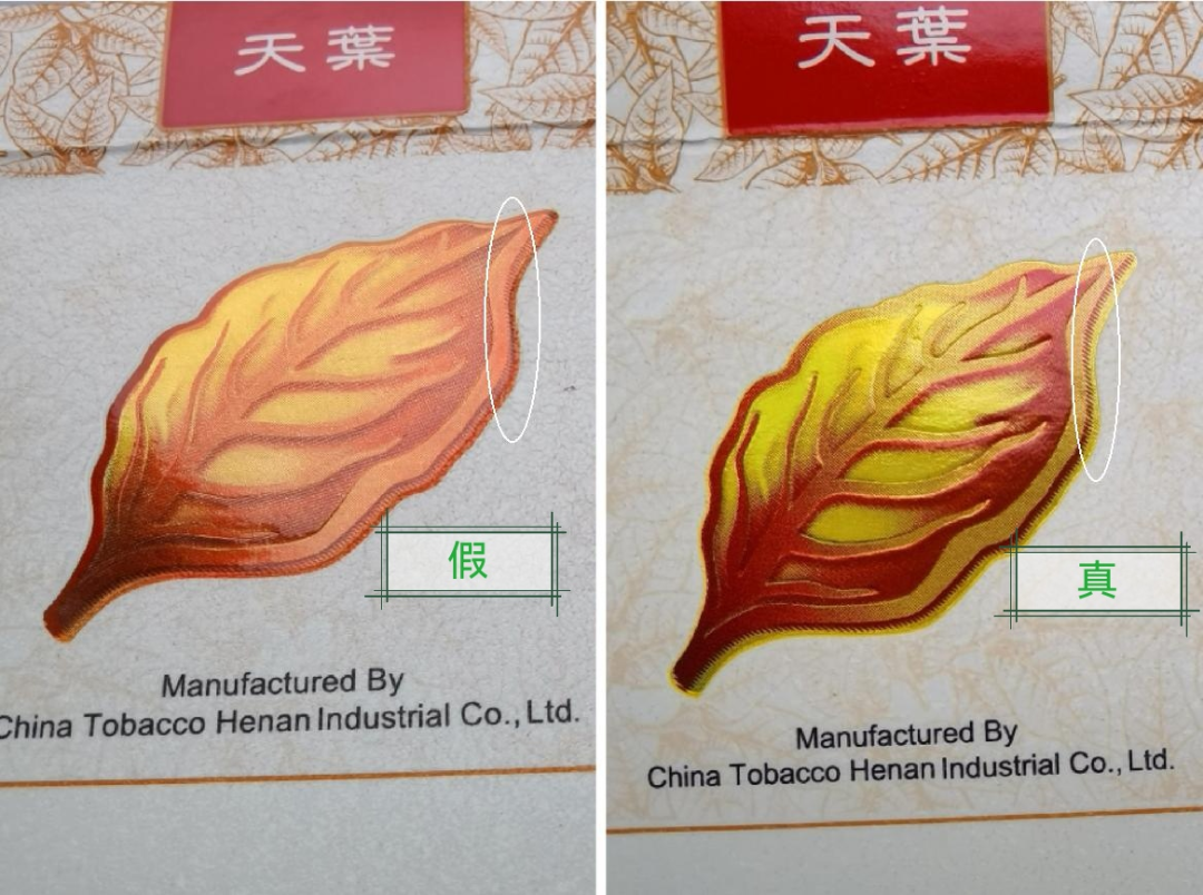 真假“黄金叶”（天叶）鉴别指南 [视点-烟悦网]