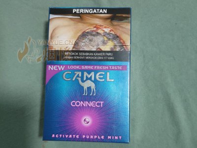 CAMEL CONNECT(Indonesia) 香烟正品价格表，真伪鉴别口感评测各地价格多少钱 [香烟信息-烟悦网]
