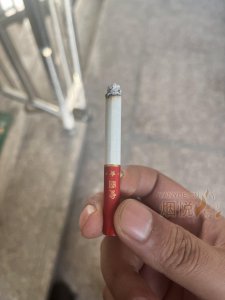 98_300_300.jpg