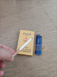 冬虫夏草金珠6.0图片